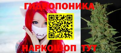 кокс Берёзовский