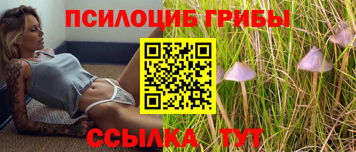 Псилоцибиновые грибы мицелий Ипатово