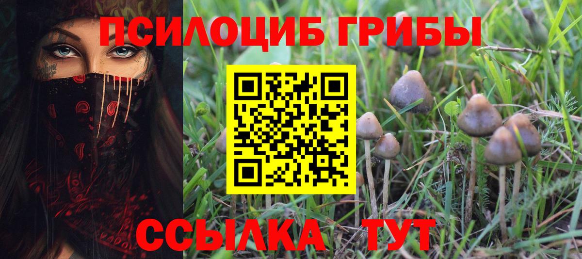Ипатово  Галлюциногенные грибы Cubensis  Вход с VPN 